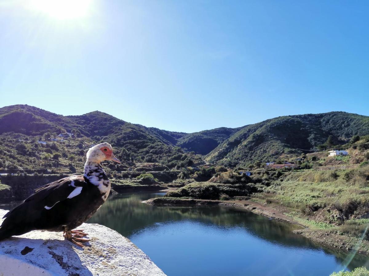 Casa Rural Leo: remanso de paz y tranquilidad Agulo Exterior foto